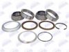 BTA B01-3307303000 Wheel Bearing Kit